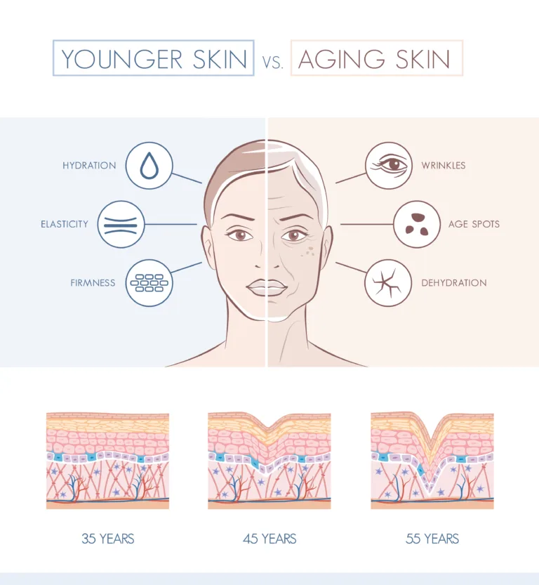 Younger and older skin comparison