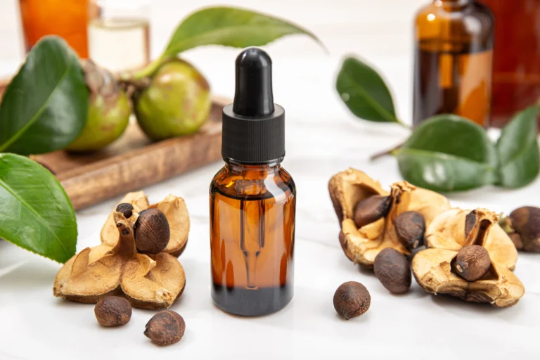 Camellia essential oil bottle and camellia seeds